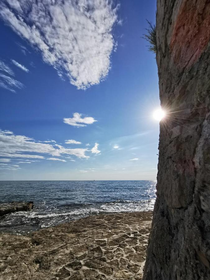 Lora Deluxe Superior 5 Star Apartment, Your Piece Of Heaven By The Sea & Park With Sea & Park View Novigrad Istria Dış mekan fotoğraf