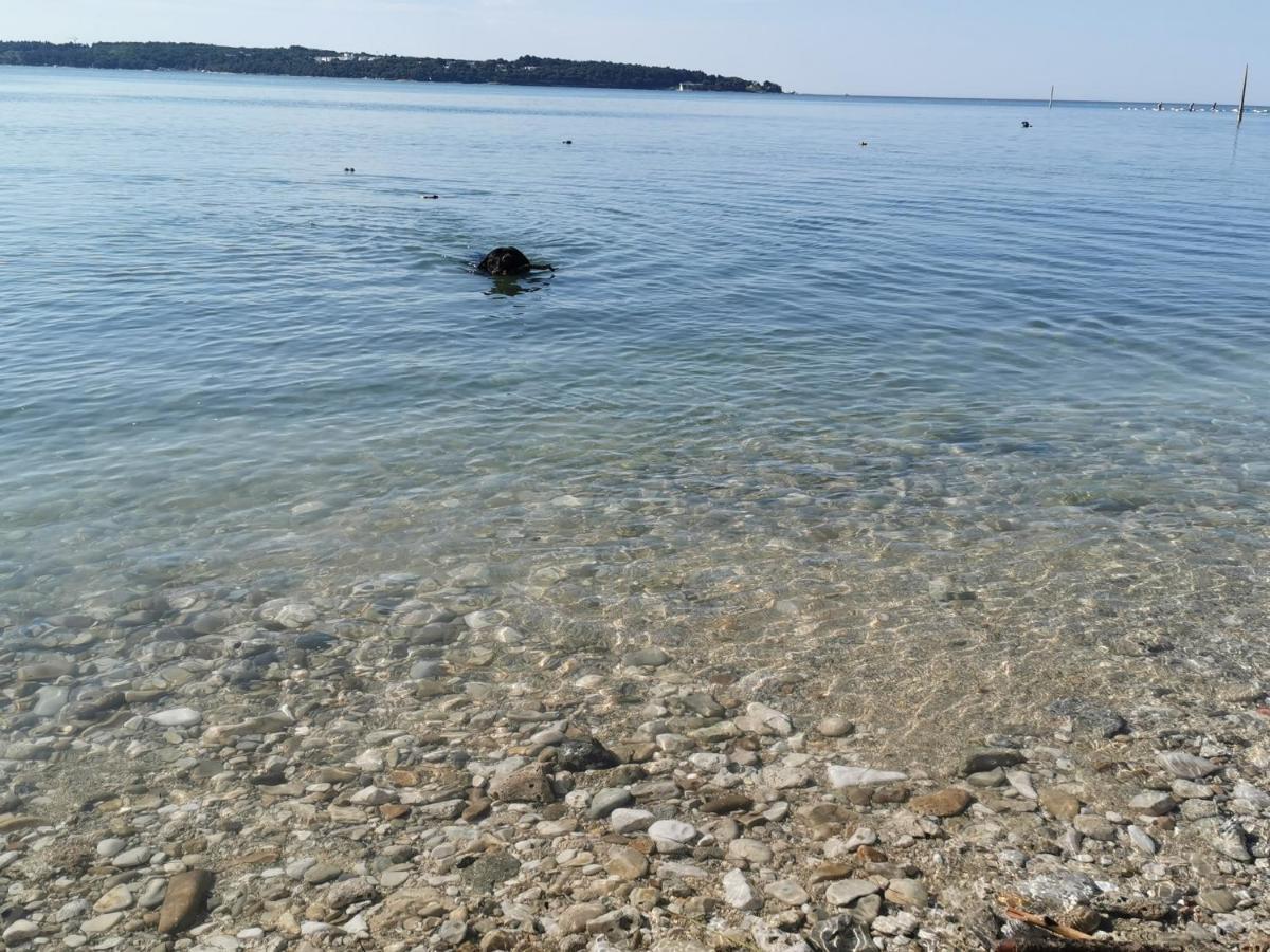 Lora Deluxe Superior 5 Star Apartment, Your Piece Of Heaven By The Sea & Park With Sea & Park View Novigrad Istria Dış mekan fotoğraf